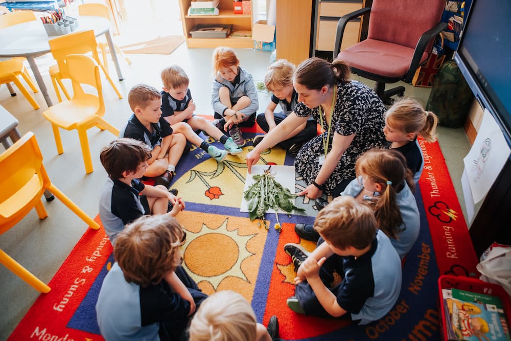 Gold star award for mental health and wellbeing support for staff and students